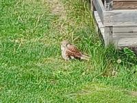 20250907_101809 (1024x768).jpg